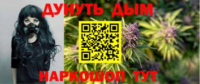прущие грибы Бердск