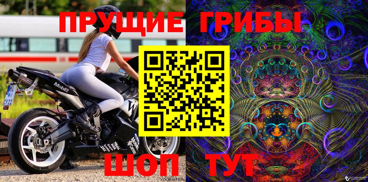 Дербент  Псилоцибиновые грибы GOLDEN TEACHER  Галлюциногенные грибы Psilocybe  хочу   Вход с VPN 